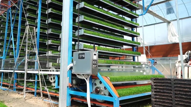 La_Siembra_del_Futuro__Tecnologi_a_Inteligente_en_la_Agricultura_China___ video poster