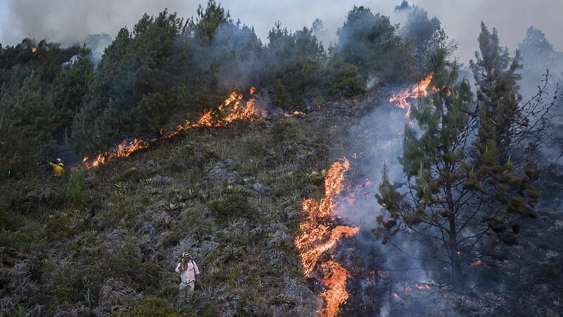 La_Tierra_Alcanza_el_Hito_de_Calentamiento_de_1_5_C__Un_Llamado_de_Atencio_n_para_la_Humanidad