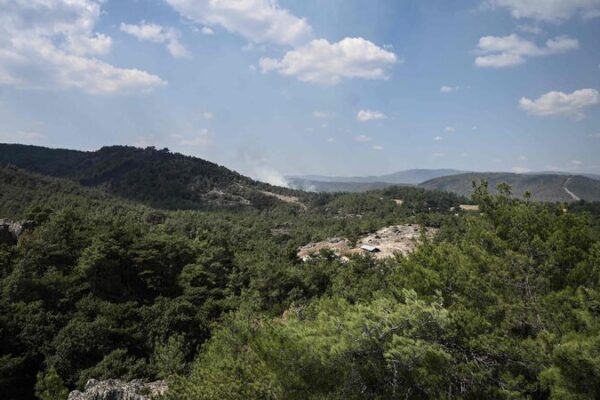 La UE causa impacto 🌊: ¡Ley histórica de Restauración de la Naturaleza aprobada tras retrasos! La_UE_causa_impacto_____Ley_histo_rica_de_Restauracio_n_de_la_Naturaleza_aprobada_tras_retrasos_