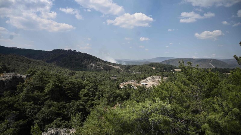 La_UE_causa_impacto_____Ley_histo_rica_de_Restauracio_n_de_la_Naturaleza_aprobada_tras_retrasos_