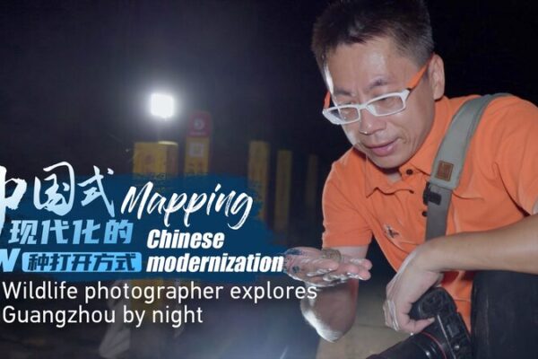 La Vida Silvestre Regresa a Cantón: Un Recorrido Nocturno con el Fotógrafo Li Junjie 🌃🐸 La_Vida_Silvestre_Regresa_a_Canto_n__Un_Recorrido_Nocturno_con_el_Foto_grafo_Li_Junjie___ video poster