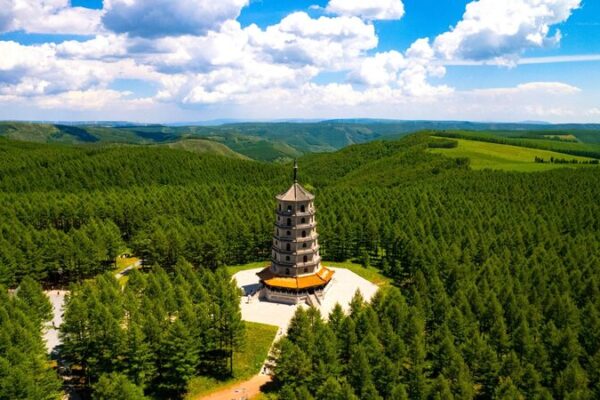 La__Gran_Muralla_Verde__de_China__Un_escudo_inquebrantable_que_protege_el_norte__