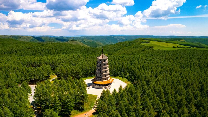 La__Gran_Muralla_Verde__de_China__Un_escudo_inquebrantable_que_protege_el_norte__