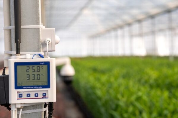 La_agricultura_modernizada_de_China__alimentando_el_futuro_y_revitalizando_la_vida_rural___