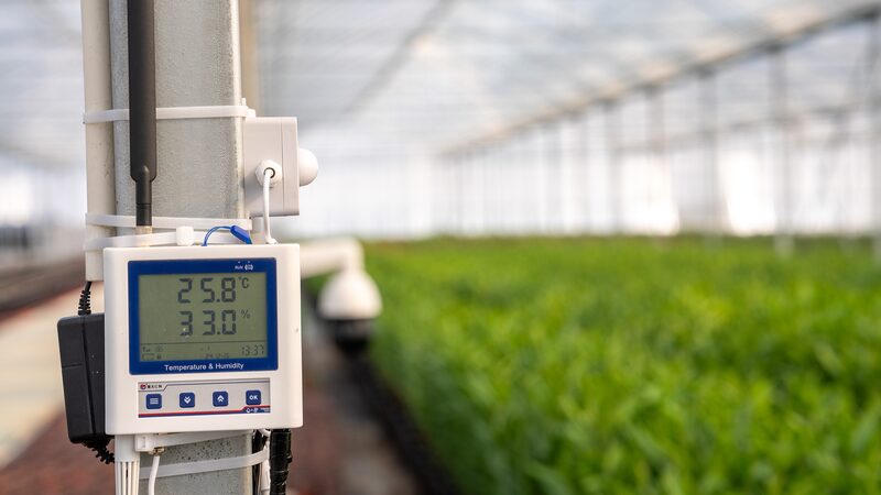 La_agricultura_modernizada_de_China__alimentando_el_futuro_y_revitalizando_la_vida_rural___