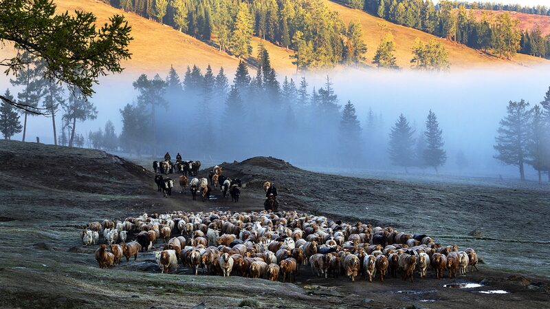 La_belleza_de_Altay_cautiva_a_los_espectadores_en__To_the_Wonder_