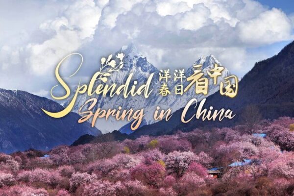 La belleza de la naturaleza en la magnífica primavera de China te invita al aire libre 🌸 La_belleza_de_la_naturaleza_en_la_magni_fica_primavera_de_China_te_invita_al_aire_libre__ video poster