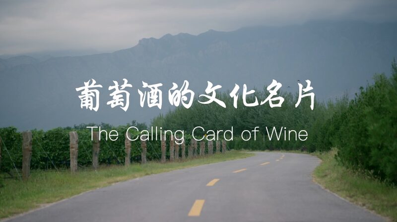 La_bu_squeda_de_Yuan_Yuan__llevando_la_cultura_del_vino_chino_al_mundo___ video poster