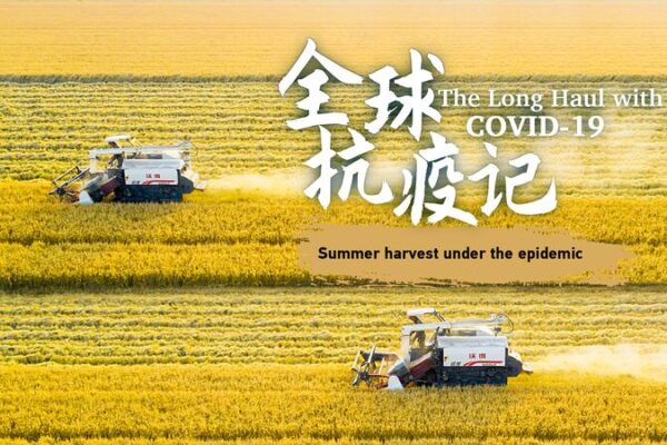 La cosecha de trigo de verano en China prospera en medio de desafíos de la pandemia 🌾 La_cosecha_de_trigo_de_verano_en_China_prospera_en_medio_de_desafi_os_de_la_pandemia__ video poster