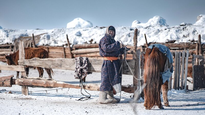 La_crisis_clima_tica_extrema_de_Mongolia__7_millones_de_animales_perdidos_____