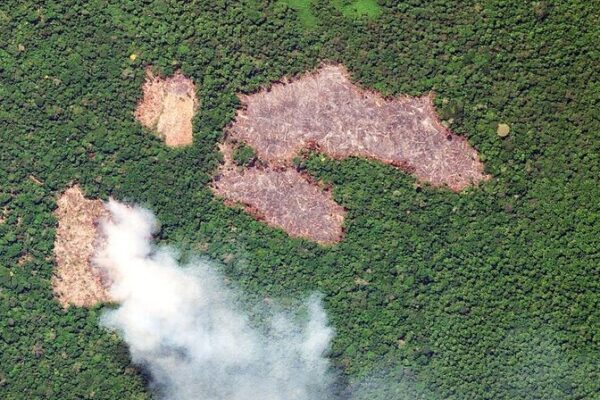 La deforestación del Amazonas en Brasil cae al nivel más bajo desde 2018 🌳✨ La_deforestacio_n_del_Amazonas_en_Brasil_cae_al_nivel_ma_s_bajo_desde_2018___