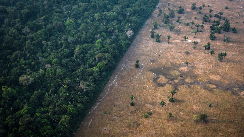 _La_deforestacio_n_en_el_Amazonas_de_Brasil_cae_a_su_nivel_ma_s_bajo_desde_2016___