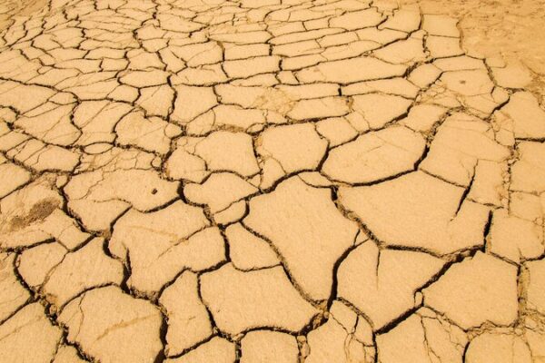 La_desertificacio_n___Co_mo_afecta_nuestras_vidas____