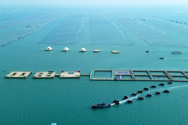 La economía marina de China crece un 5.6% en la primera mitad del año 🚢🌊 La_economi_a_marina_de_China_crece_un_5_6__en_la_primera_mitad_del_an_o___