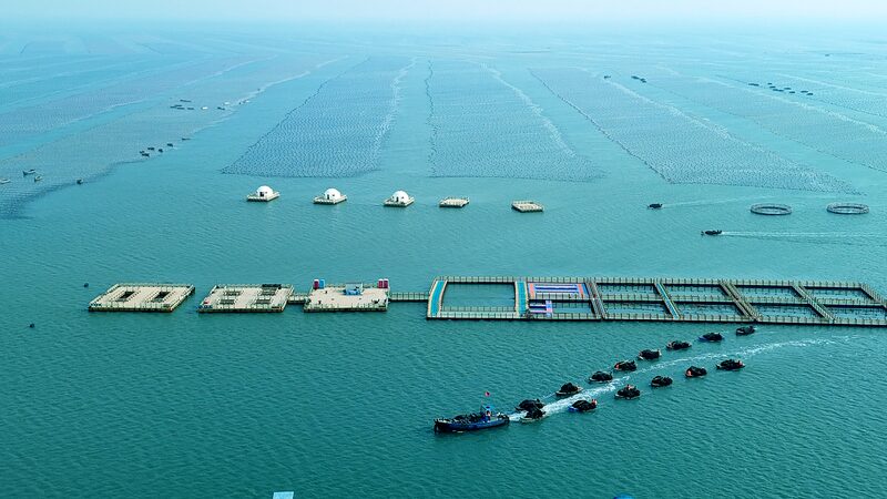 La_economi_a_marina_de_China_crece_un_5_6__en_la_primera_mitad_del_an_o___