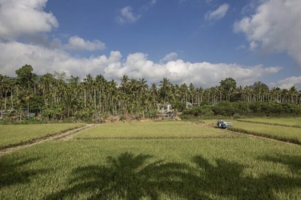 La experiencia tropical de Hainan impulsa la agricultura africana 🌱 La_experiencia_tropical_de_Hainan_impulsa_la_agricultura_africana__ video poster