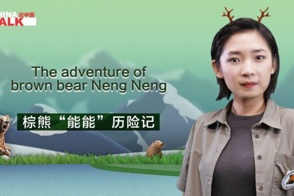 🐻 La increíble aventura de Neng Neng, el oso que volvió al bosque __La_increi_ble_aventura_de_Neng_Neng__el_oso_que_volvio__al_bosque video poster