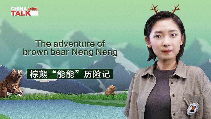 __La_increi_ble_aventura_de_Neng_Neng__el_oso_que_volvio__al_bosque video poster
