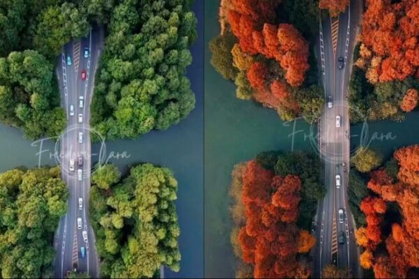 La inspiradora aventura de Yangyang: de sorda a surfista y fotógrafa premiada La_inspiradora_aventura_de_Yangyang__de_sorda_a_surfista_y_foto_grafa_premiada video poster