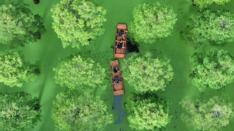 La_joya_oculta_de_Yangzhou___El_Parque_Luyang_Lake_Wetland_impulsa_el_turismo_______