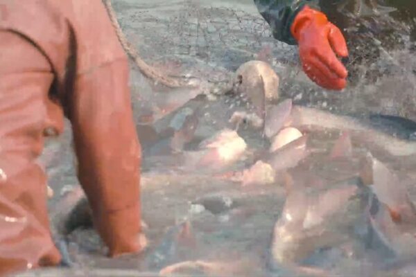 _La_mayor_pesca__La_pesca_invernal_en_el_ri_o_Biliu_atrae_a_todos video poster