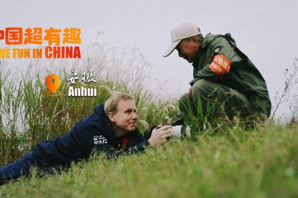 La_odisea_de_un_foto_grafo__Capturando_cigu_en_as_orientales_en_el_lago_Caizi_de_Anhui__ video poster