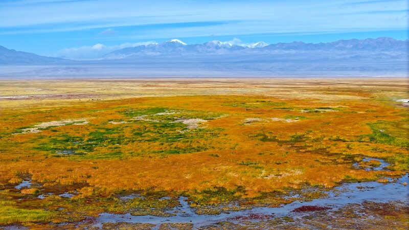 La_pradera_Haizi_se_convierte_en_oro__una_maravilla_oton_al_en_Gansu