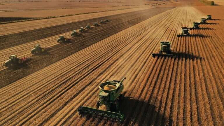 _La_produccio_n_de_granos_de_China_en_2024_superara__por_primera_vez_los_700_millones_de_toneladas_