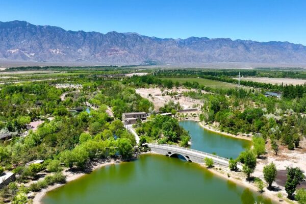 La_revolucio_n_ecolo_gica_de_Ningxia____El_gran_salto_verde_de_China video poster