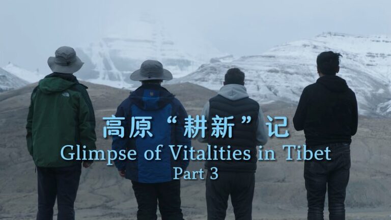 La_tecnologi_a_digital_impulsa_las_ventas_de_tesoros_agri_colas_tibetanos video poster