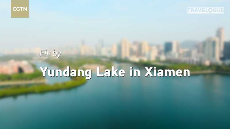 La_transformacio_n_del_lago_Yundang__de_la_contaminacio_n_al_parai_so_de_las_garzas video poster