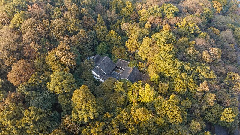 Lago_del_Oeste__El_encantador_lago_de_Hangzhou_que_te_dejara__sin_aliento_