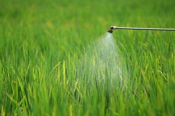 Laos da un paso audaz para reducir el uso de pesticidas dañinos 🌿 Laos_da_un_paso_audaz_para_reducir_el_uso_de_pesticidas_dan_inos__