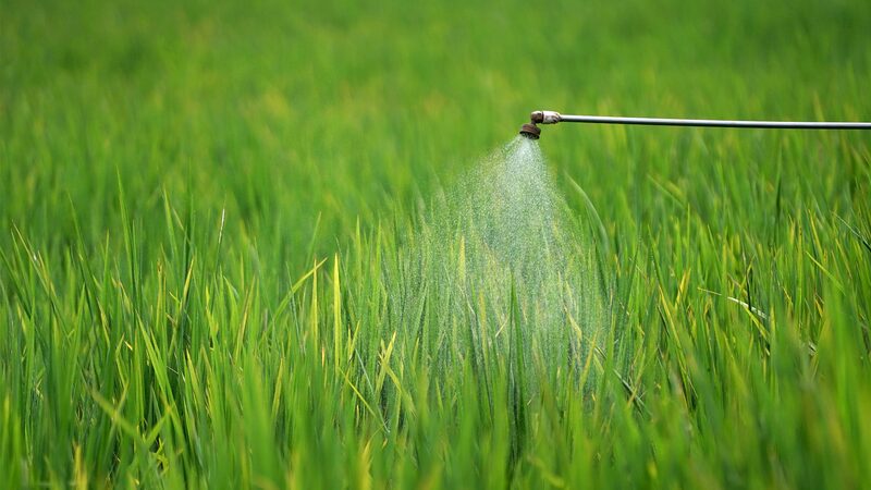 Laos_da_un_paso_audaz_para_reducir_el_uso_de_pesticidas_dan_inos__