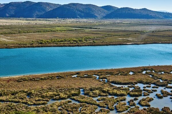 Las aves huyen de la Laguna Vain de Albania a medida que las temperaturas aumentan 🌡️🐦 Las_aves_huyen_de_la_Laguna_Vain_de_Albania_a_medida_que_las_temperaturas_aumentan____