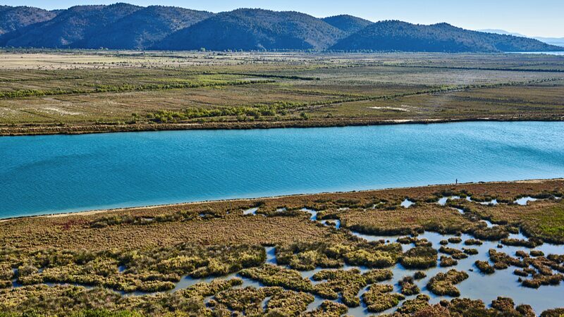 Las_aves_huyen_de_la_Laguna_Vain_de_Albania_a_medida_que_las_temperaturas_aumentan____