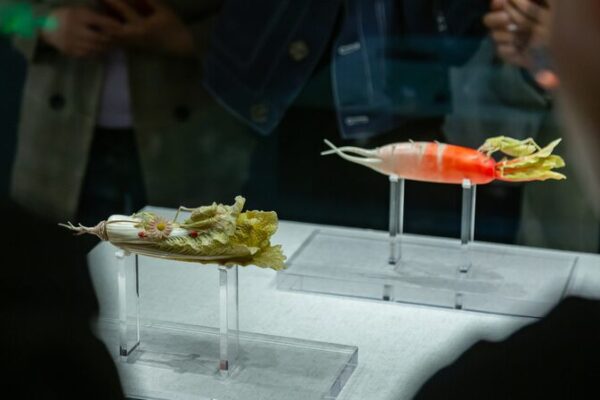 Las_esculturas_de_ra_bano_y_col_de_marfil_cautivan_a_los_visitantes_del_Museo_de_Henan