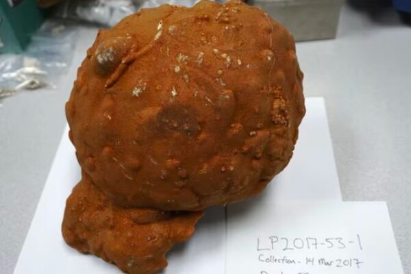 ___Las_esponjas_revelan_el_calentamiento_oculto__el_cambio_clima_tico_es_peor_de_lo_que_pensa_bamos_