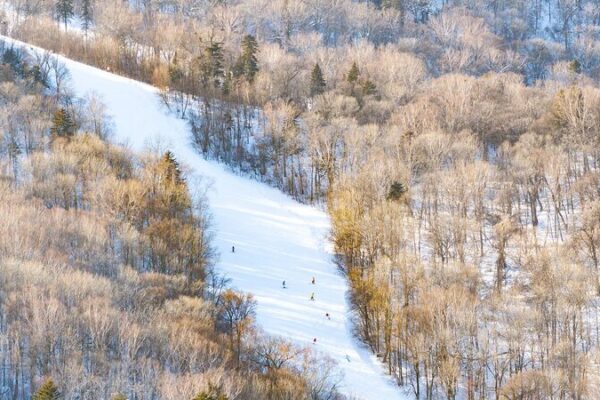 Las estrellas del snowboard de Yabuli brillan antes de los Juegos Asiáticos de Invierno 2025 🎿✨ Las_estrellas_del_snowboard_de_Yabuli_brillan_antes_de_los_Juegos_Asia_ticos_de_Invierno_2025___ video poster