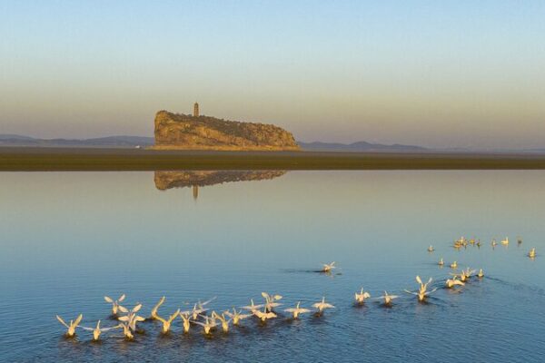 Las olas de aves deslumbran sobre el Lago Poyang: ¡Un espectáculo de la naturaleza en China 🌅🕊️! Las_olas_de_aves_deslumbran_sobre_el_Lago_Poyang___Un_especta_culo_de_la_naturaleza_en_China_____ video poster