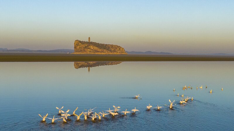 Las_olas_de_aves_deslumbran_sobre_el_Lago_Poyang___Un_especta_culo_de_la_naturaleza_en_China_____ video poster