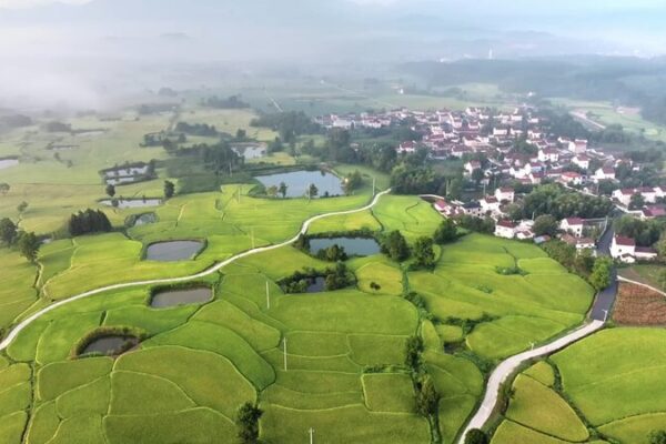 Las_terrazas_de_arroz_de_Anhui__un_suen_o_dorado_en_las_montan_as__ video poster