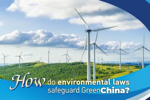 Leyes Ambientales de China en Acción: Protegiendo el Futuro Verde Leyes_Ambientales_de_China_en_Accio_n__Protegiendo_el_Futuro_Verde