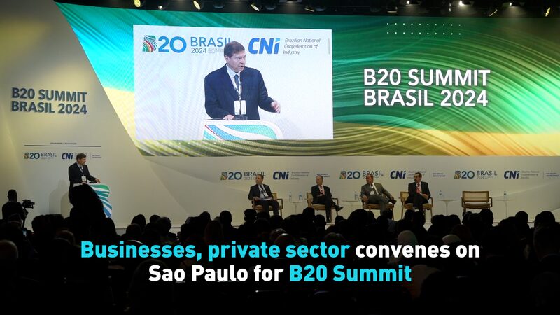 Li_deres_Empresariales_se_Unen_en_Sa_o_Paulo_para_la_Cumbre_B20___ video poster