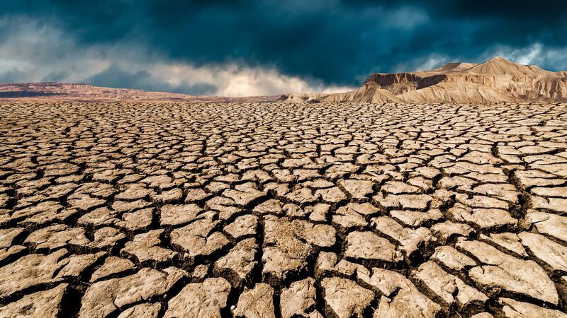 Llamado_Urgente__Las_tierras_a_ridas_del_mundo_necesitan_proteccio_n_para_salvar_la_biodiversidad___
