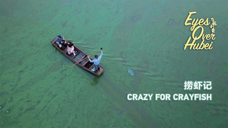 Locura por los Cangrejos de Río: Cómo los Agricultores de Hubei están Transformando Vidas con Pequeños Crustáceos Locura_por_los_Cangrejos_de_Ri_o__Co_mo_los_Agricultores_de_Hubei_esta_n_Transformando_Vidas_con_Pequen_os_Crusta_ceos video poster