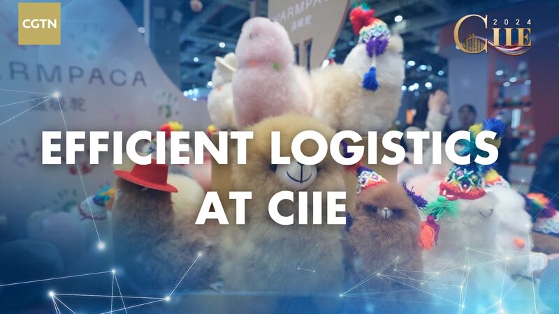 Logi_stica_Eficiente_Impulsando_la_CIIE_en_Shangha_i video poster