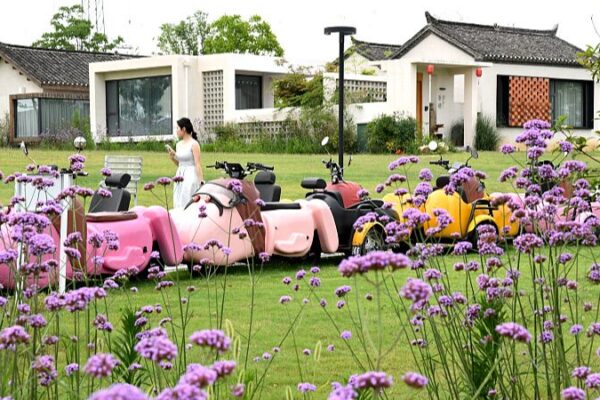 Los Administradores de Casas de Huéspedes Impulsan la Renovación en la China Rural 🌟🏡 Los_Administradores_de_Casas_de_Hue_spedes_Impulsan_la_Renovacio_n_en_la_China_Rural___