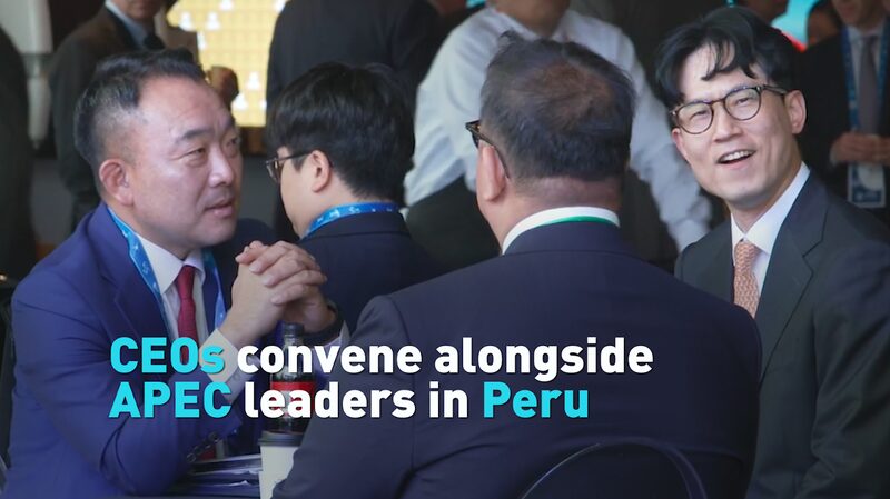 Los_CEOs_y_li_deres_de_APEC_unen_fuerzas_en_Peru__para_la_colaboracio_n_global___ video poster