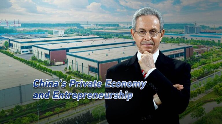 Los_Emprendedores_Privados_de_China__Enfrentando_Desafi_os_y_Nuevas_Oportunidades video poster